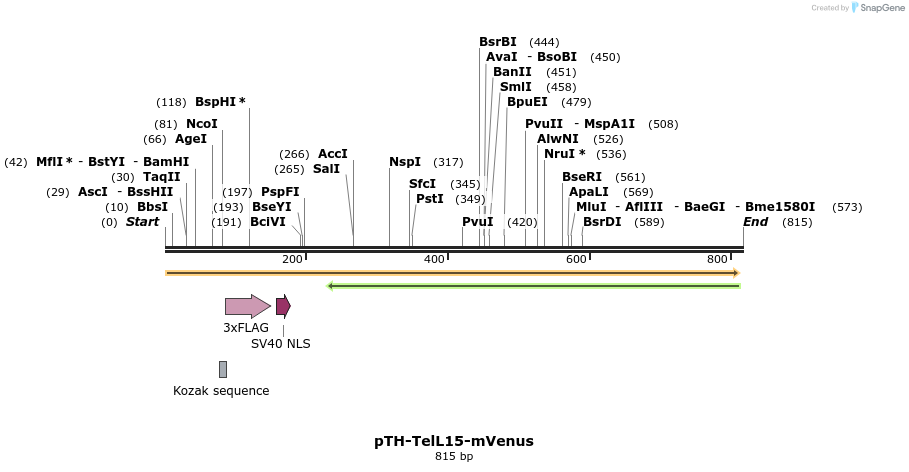 77149_map