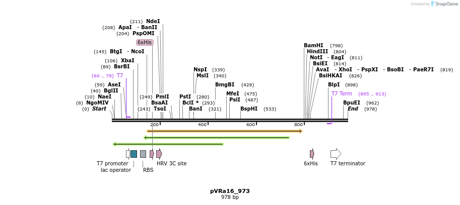 77150_map