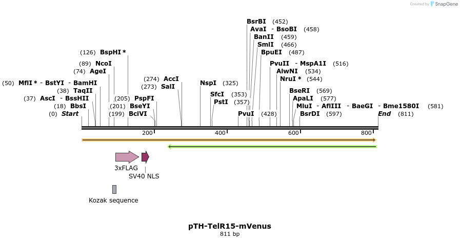 77153_map