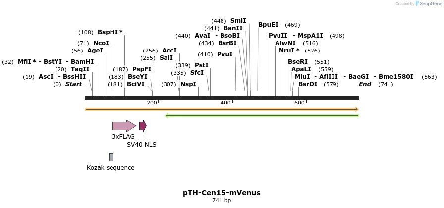 77155_map