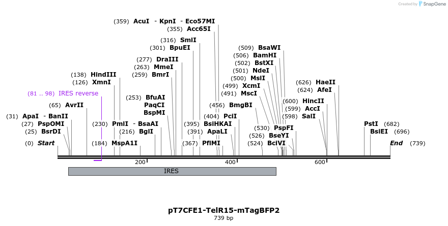 77159_map