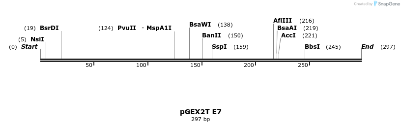 7716_map