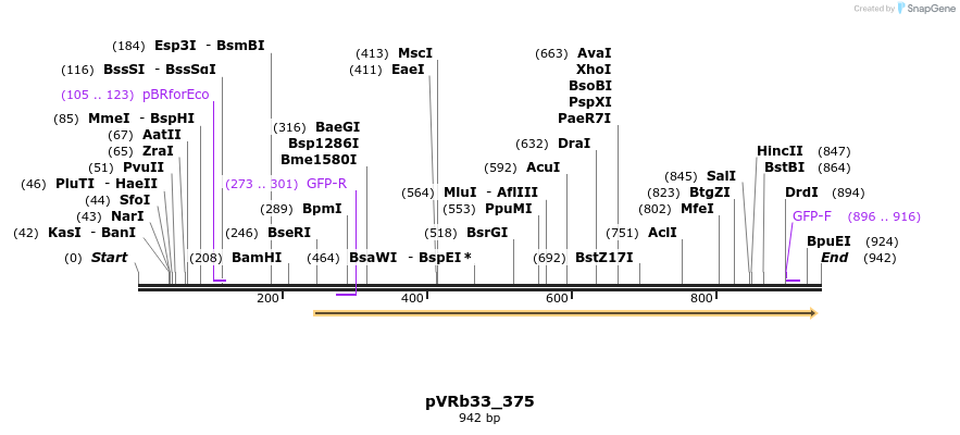 77168_map