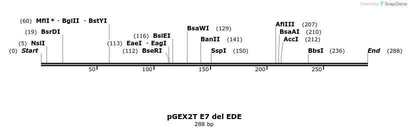 7717_map