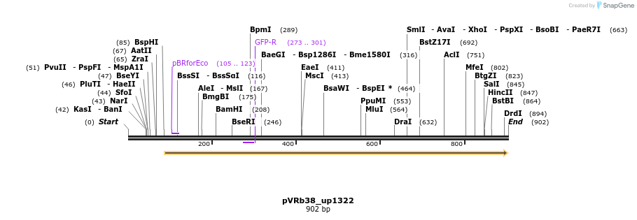 77172_map