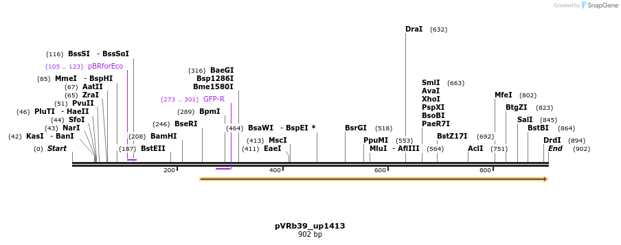 77173_map