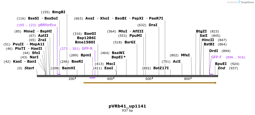 77178_map