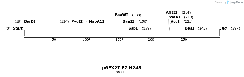 7718_map