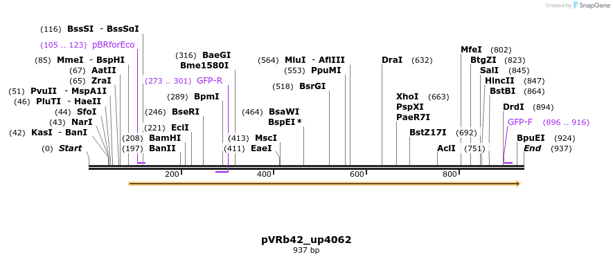 77180_map