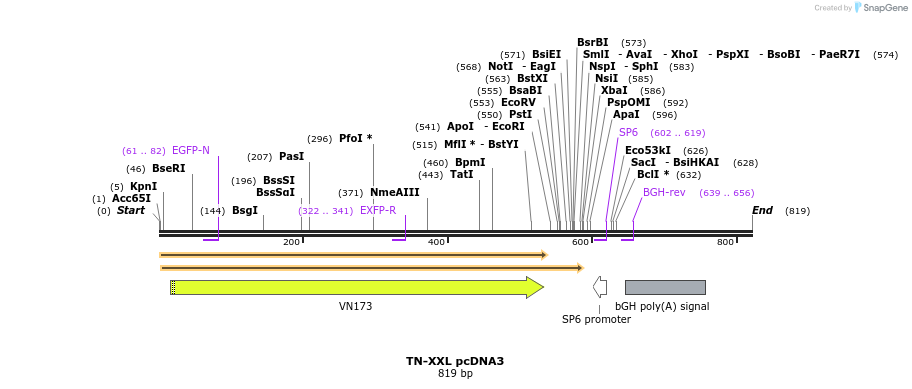 77181_map
