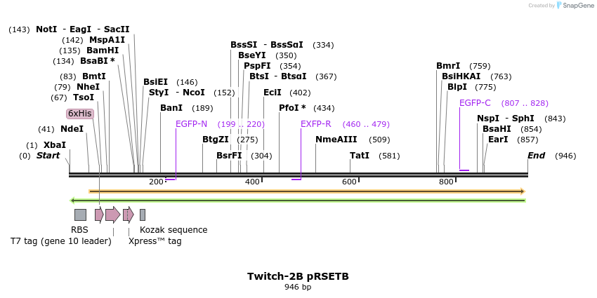 77182_map
