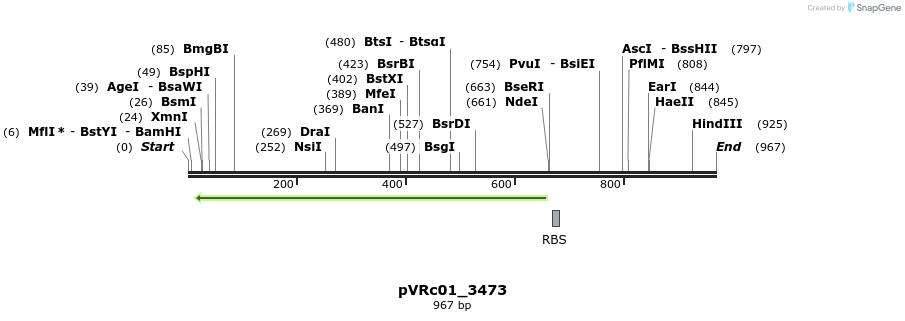 77184_map