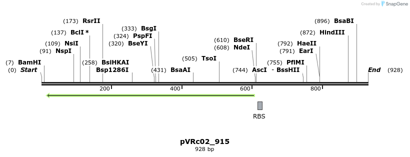 77185_map