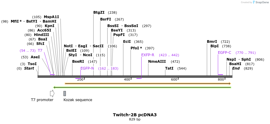77193_map