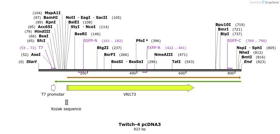 77196_map
