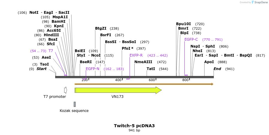 77198_map