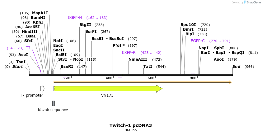 77199_map