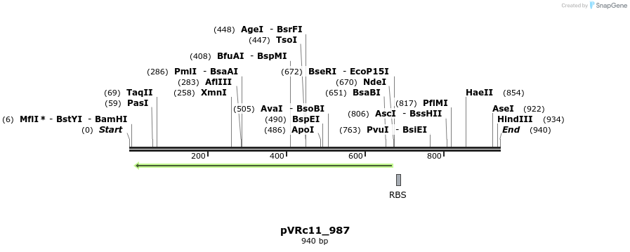 77203_map