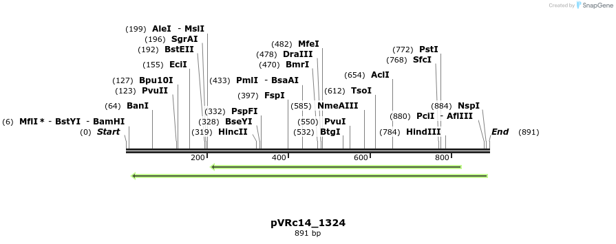 77204_map