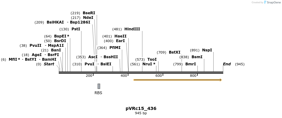 77206_map
