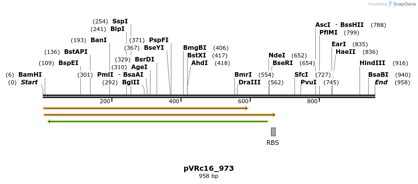 77208_map