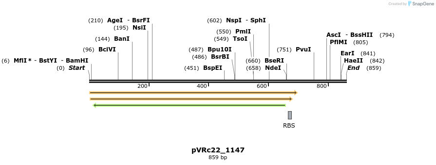 77211_map