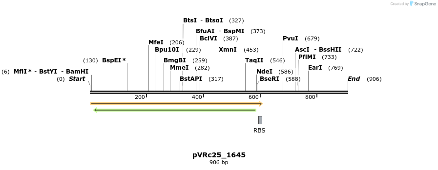 77216_map