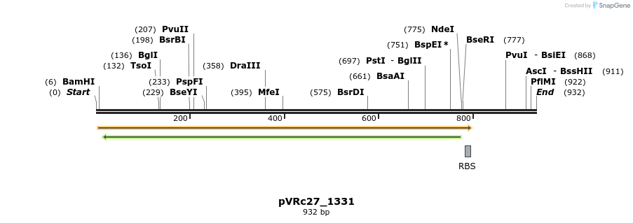 77217_map