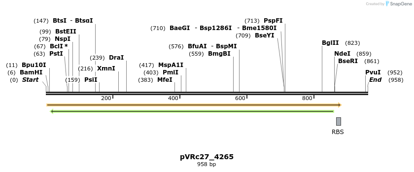 77218_map
