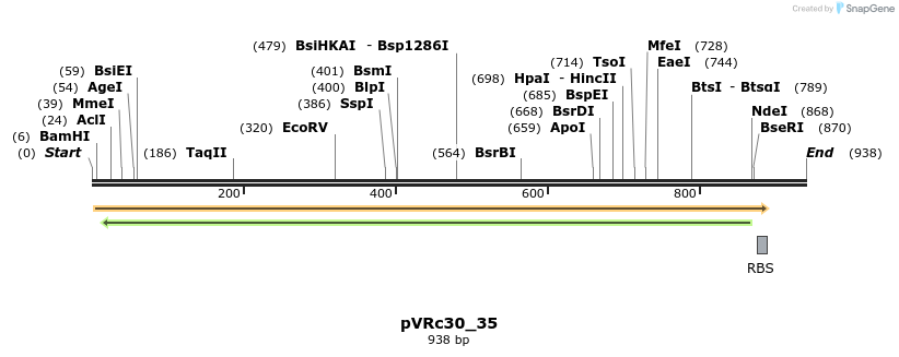 77219_map