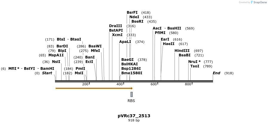 77226_map