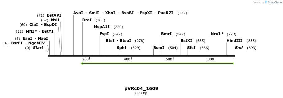 77231_map
