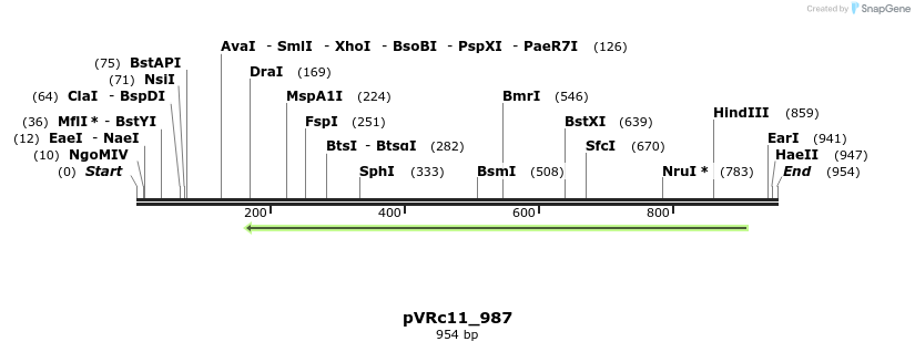 77233_map