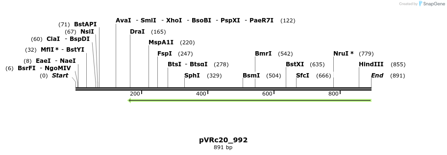 77240_map
