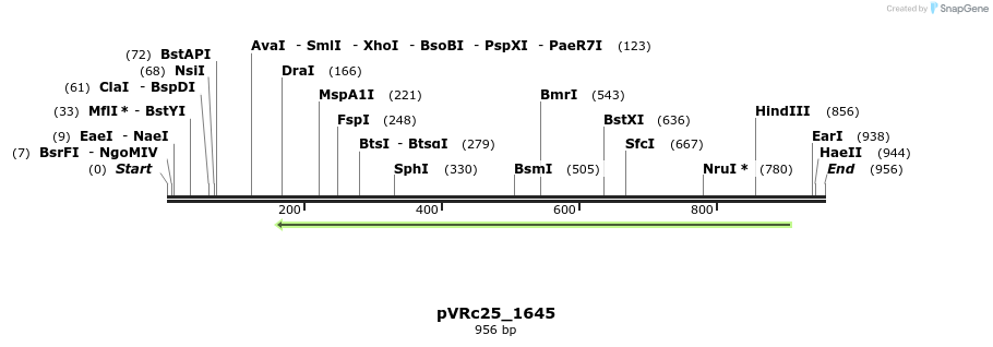 77243_map