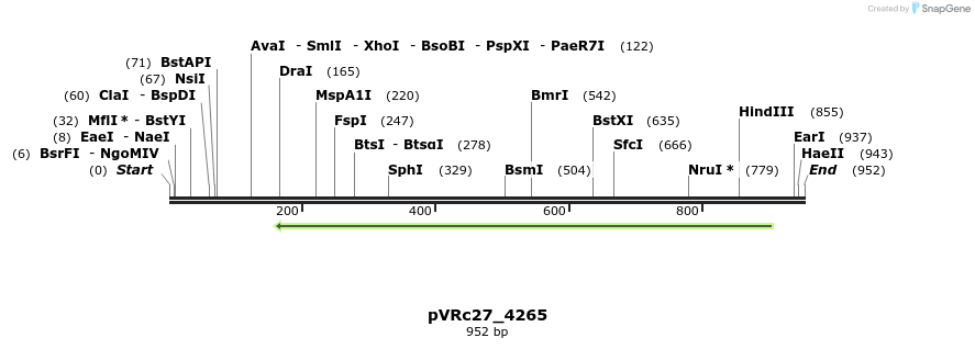 77245_map