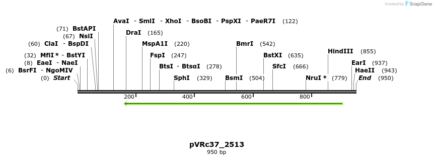 77250_map