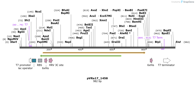 77251_map