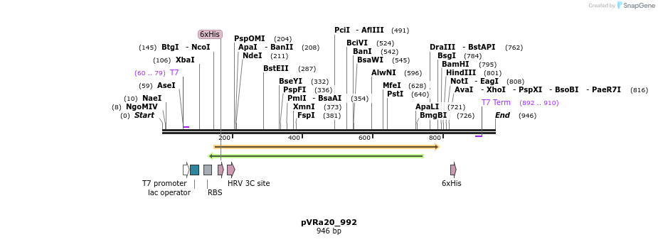 77254_map