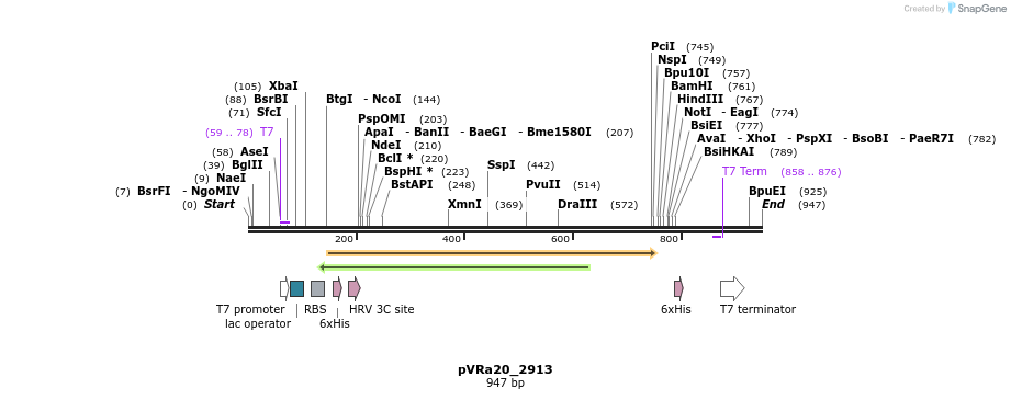 77255_map