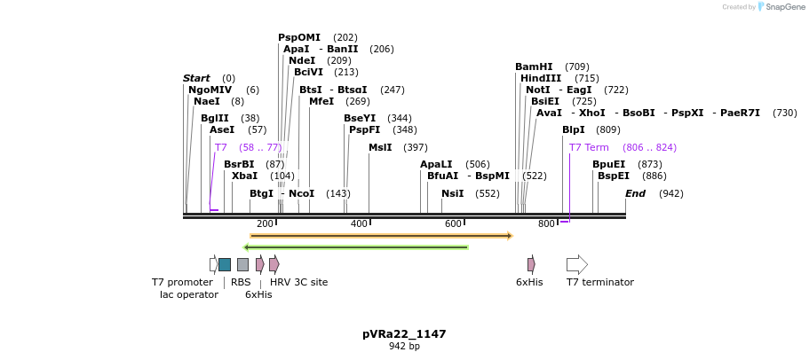 77256_map