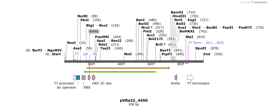 77257_map