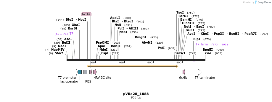 77264_map