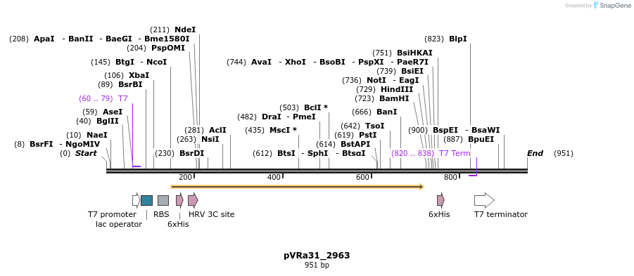 77270_map
