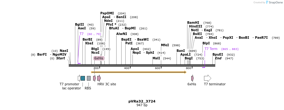 77273_map