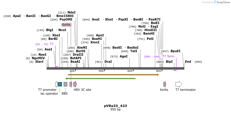 77275_map