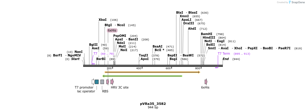 77282_map