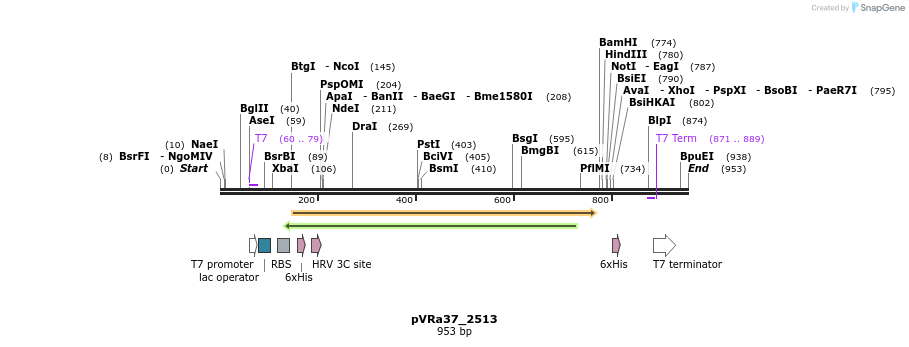 77283_map