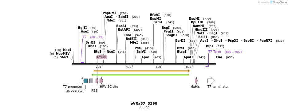 77284_map