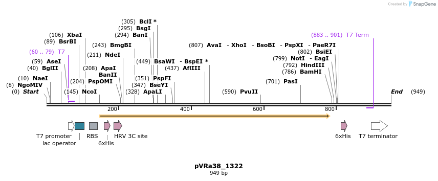 77285_map